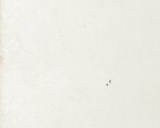 https://www.kbauthority.com/images/SW/white%20apen.png