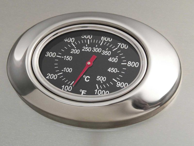 American Outdoor Grill L-Series 24-Inch 2-Burner Gas Grill