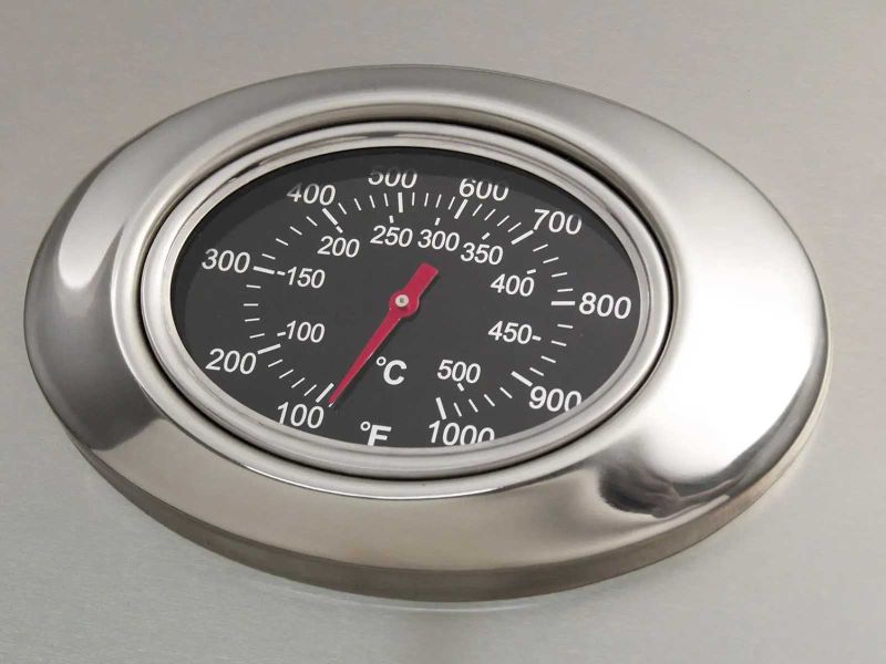 American Outdoor Grill T-Series 24-Inch 2-Burner Gas Grill