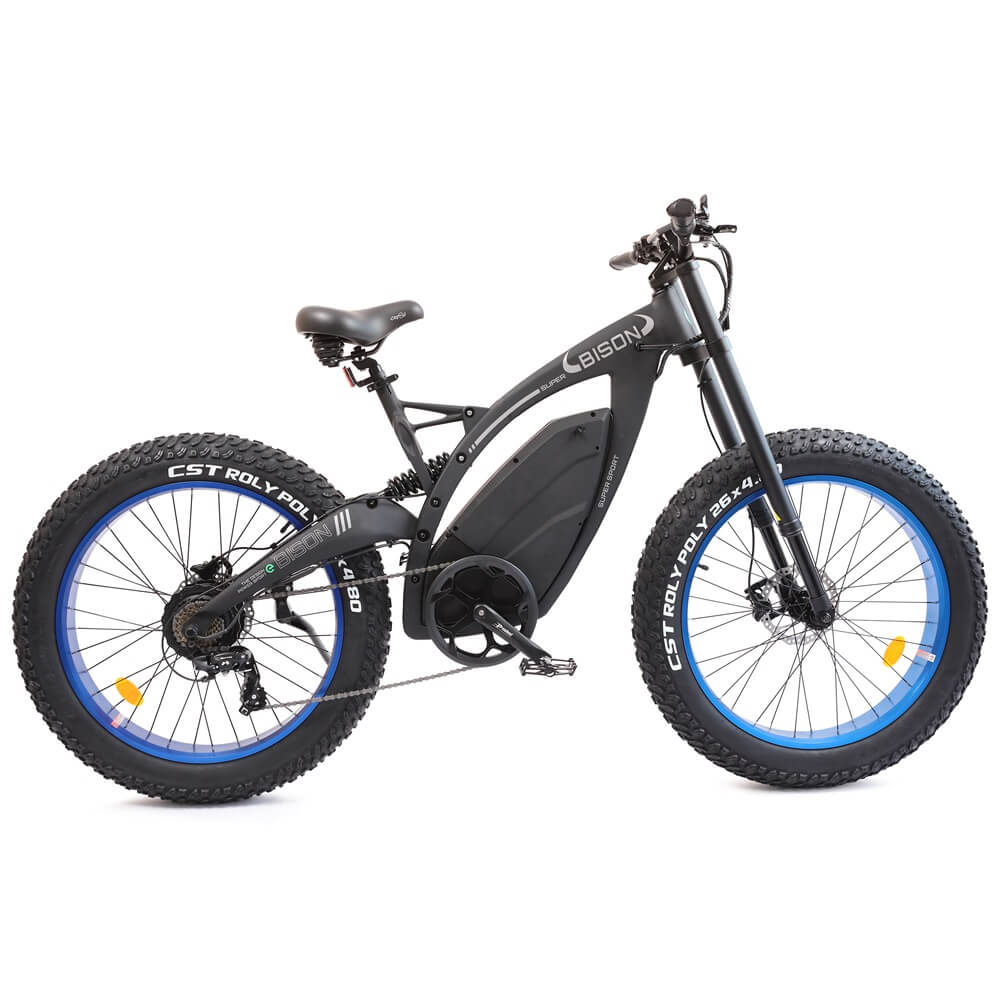 https://cdn.shopify.com/s/files/1/0036/7158/8979/products/bison-4.jpg?v=1710402681