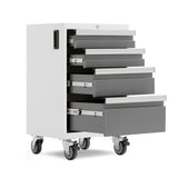 NewAge Products Bold 3.0 Grey 4-Drawer Rolling Too - White