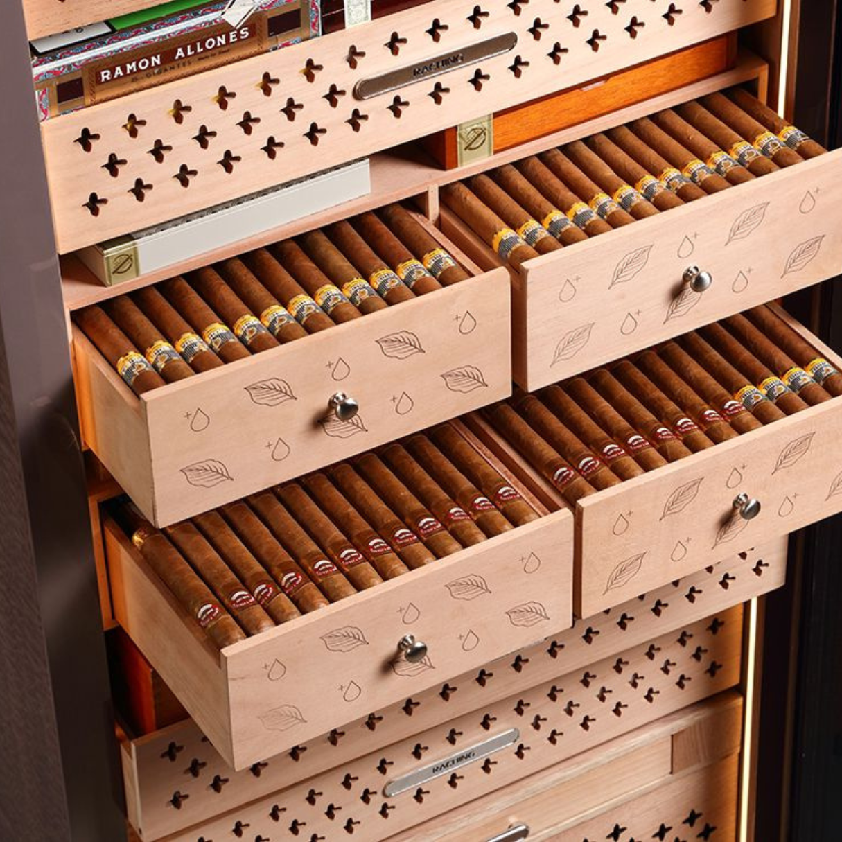https://cdn.shopify.com/s/files/1/0685/8231/0080/files/Raching-Reserva-RR-Series-3000-Cigar-Electric-Humidors-Havana-Tan-Tray_Details-5__09420.1736385261.1280.1280.png?v=1754930163