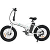 Ecotric Portable Folding 500W Electric Fat Tire City Bike